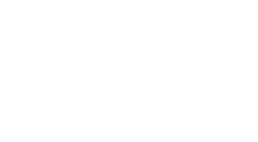 SOL Properties