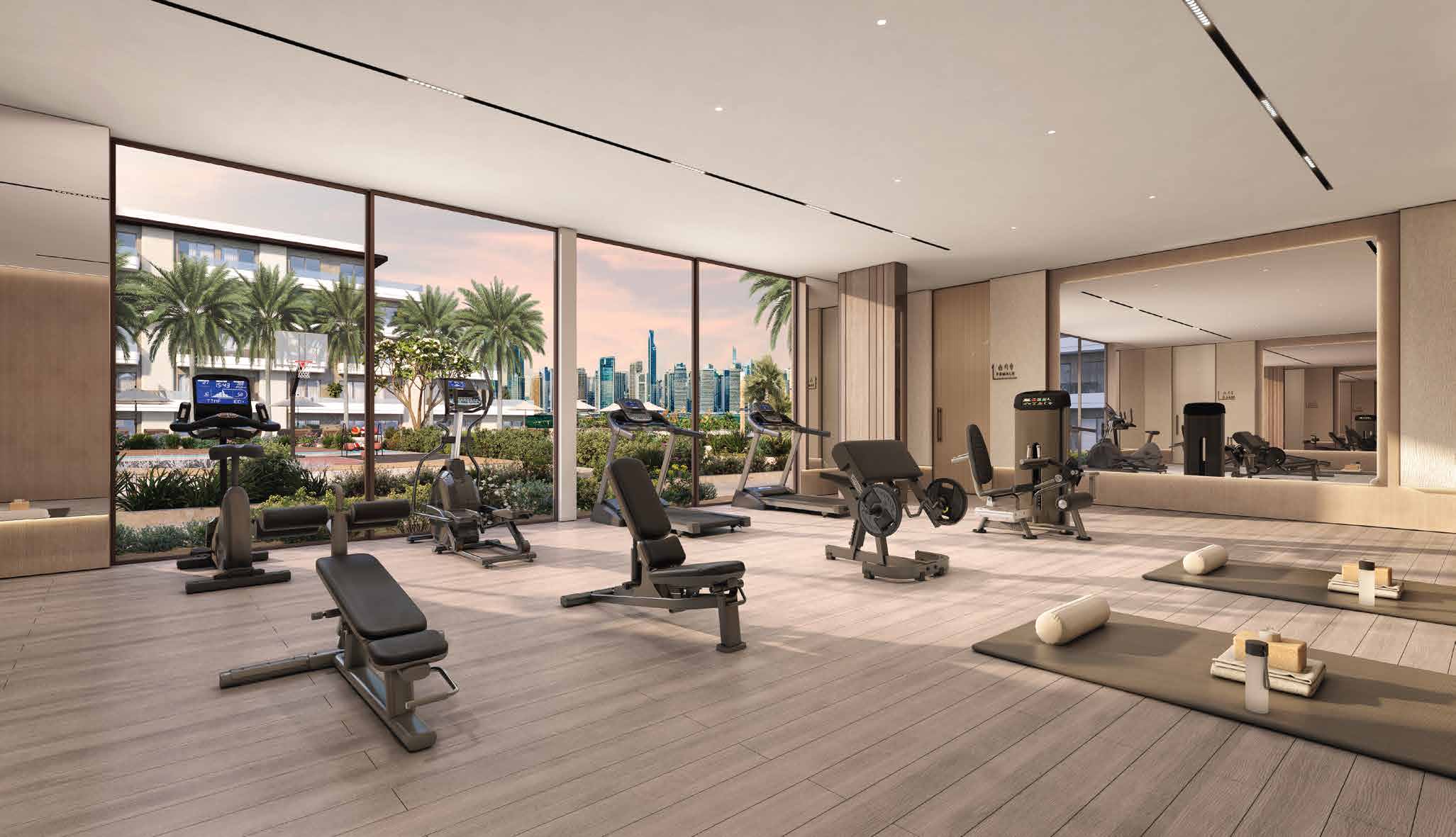Indoor gym with tall windows looking onto palms and the skyline